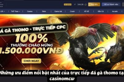 Casinomcw – Trang Web Cá Cược Trực Tiếp Đá Gà Thomo Hàng Đầu Châu Á