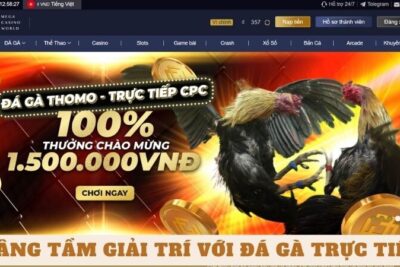 Nâng Tầm Giải Trí với Trò Chơi Đá Gà Trực Tiếp