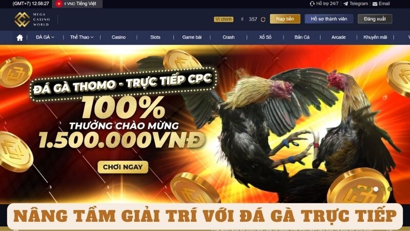 Vì Sao Nên Tham Gia Đá Gà Trực Tiếp tại mcw?