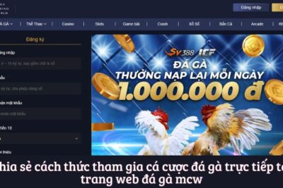 Trải Nghiệm Cá Cược Đá Gà Trực Tiếp Đỉnh Cao Tại Trang Web Đá Gà Mcw