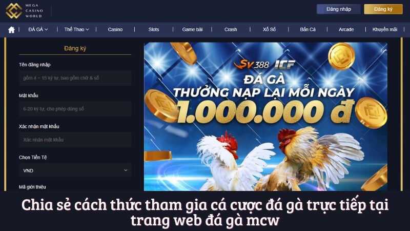 Chia sẻ cách thức tham gia cá cược đá gà trực tiếp tại trang web đá gà mcw