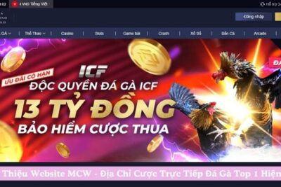 Giới Thiệu Website MCW – Địa Chỉ Cược Trực Tiếp Đá Gà Top 1 Hiện Nay