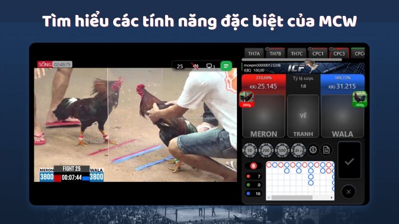 Tìm hiểu các tính năng đặc biệt của MCW