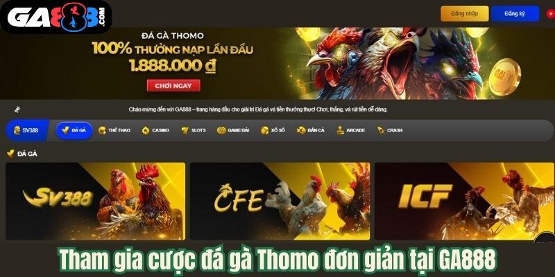 Tham gia cược đá gà Thomo đơn giản tại GA888